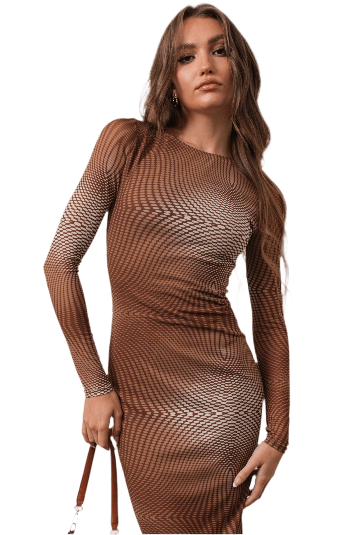 Long sleeve mesh dress