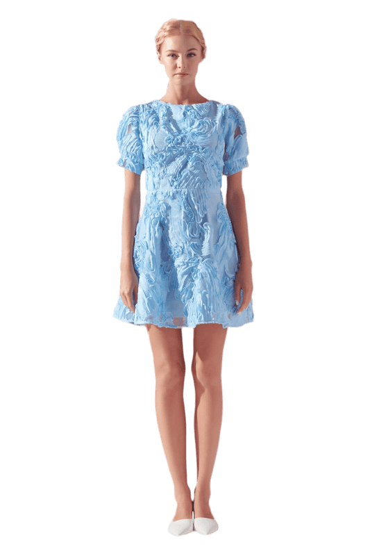 organza mini dress