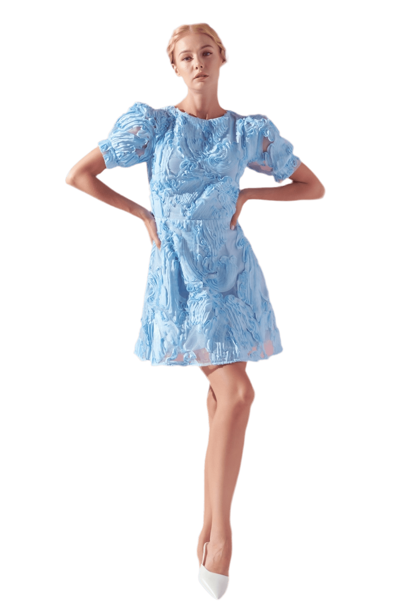 organza mini dress