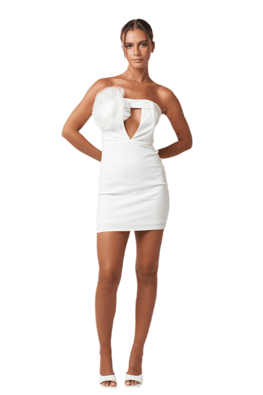 Oversized rosette trim detail tube mini dress