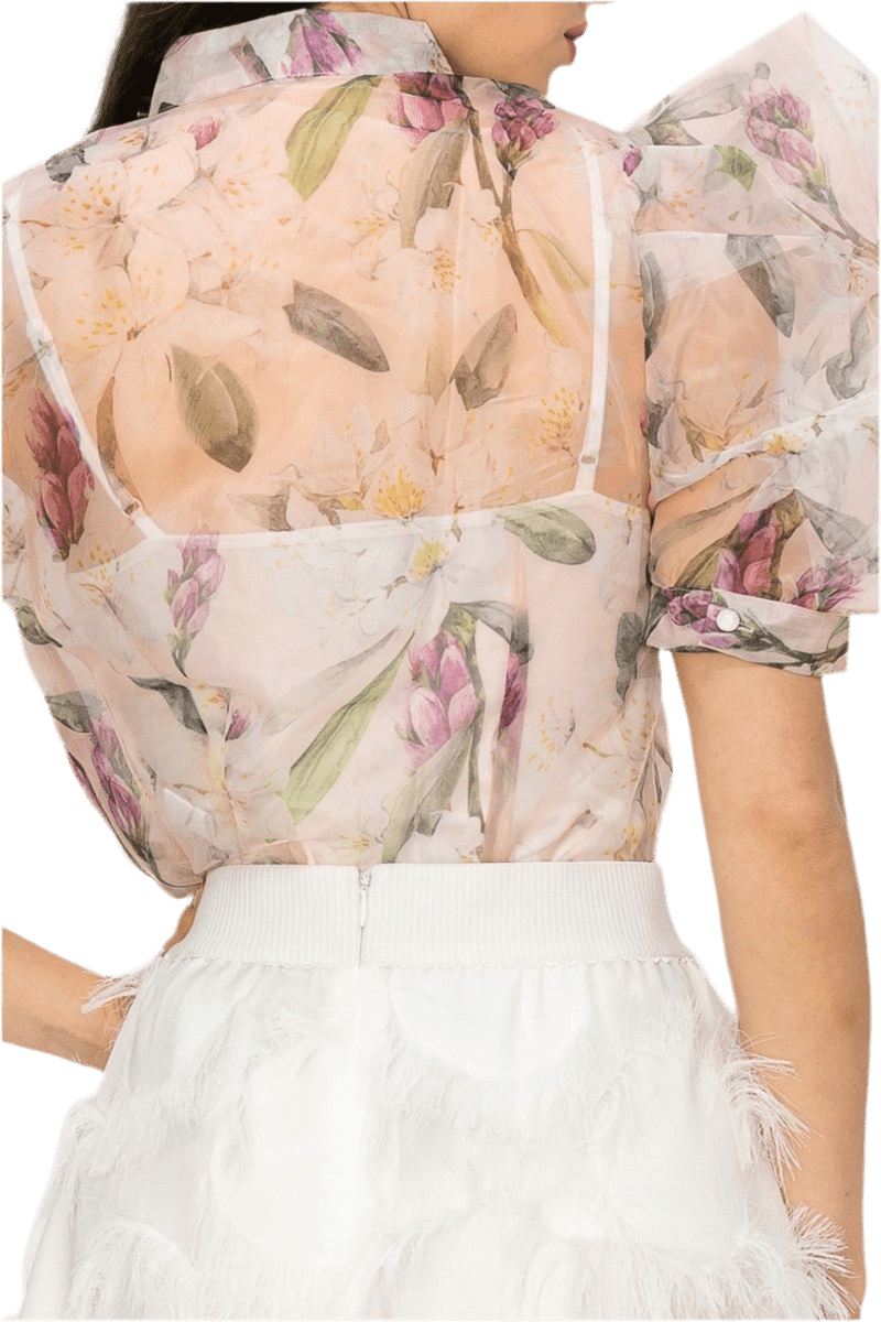 Organza Floral print top